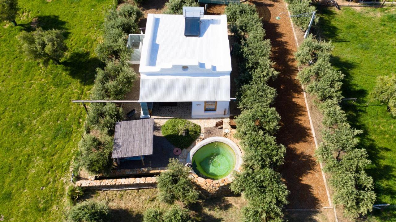 Olive Stone Farm Cottages Montagu Extérieur photo