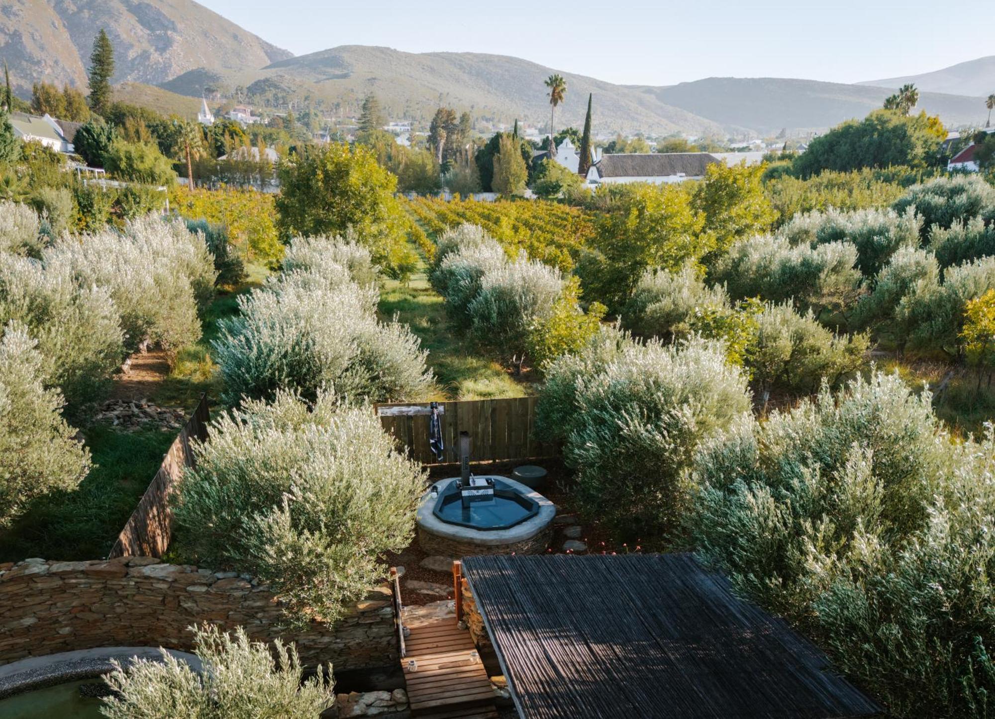 Olive Stone Farm Cottages Montagu Extérieur photo
